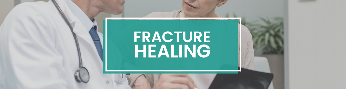Fracture Healing Products