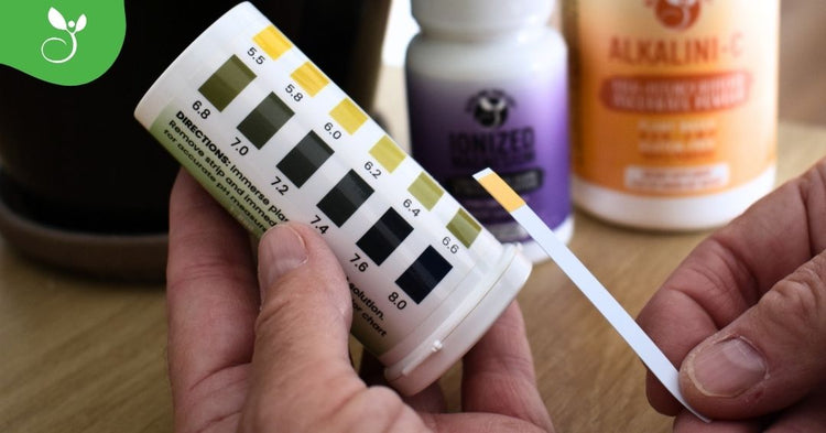 Alkaline for Life  pH Balance Starter Kit