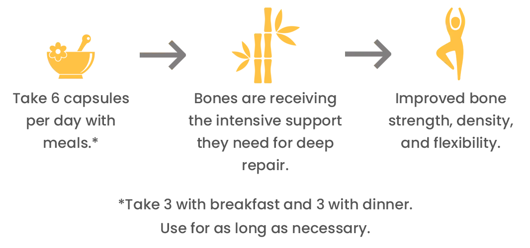 Better Bones Builder — Better Bones, Better Body