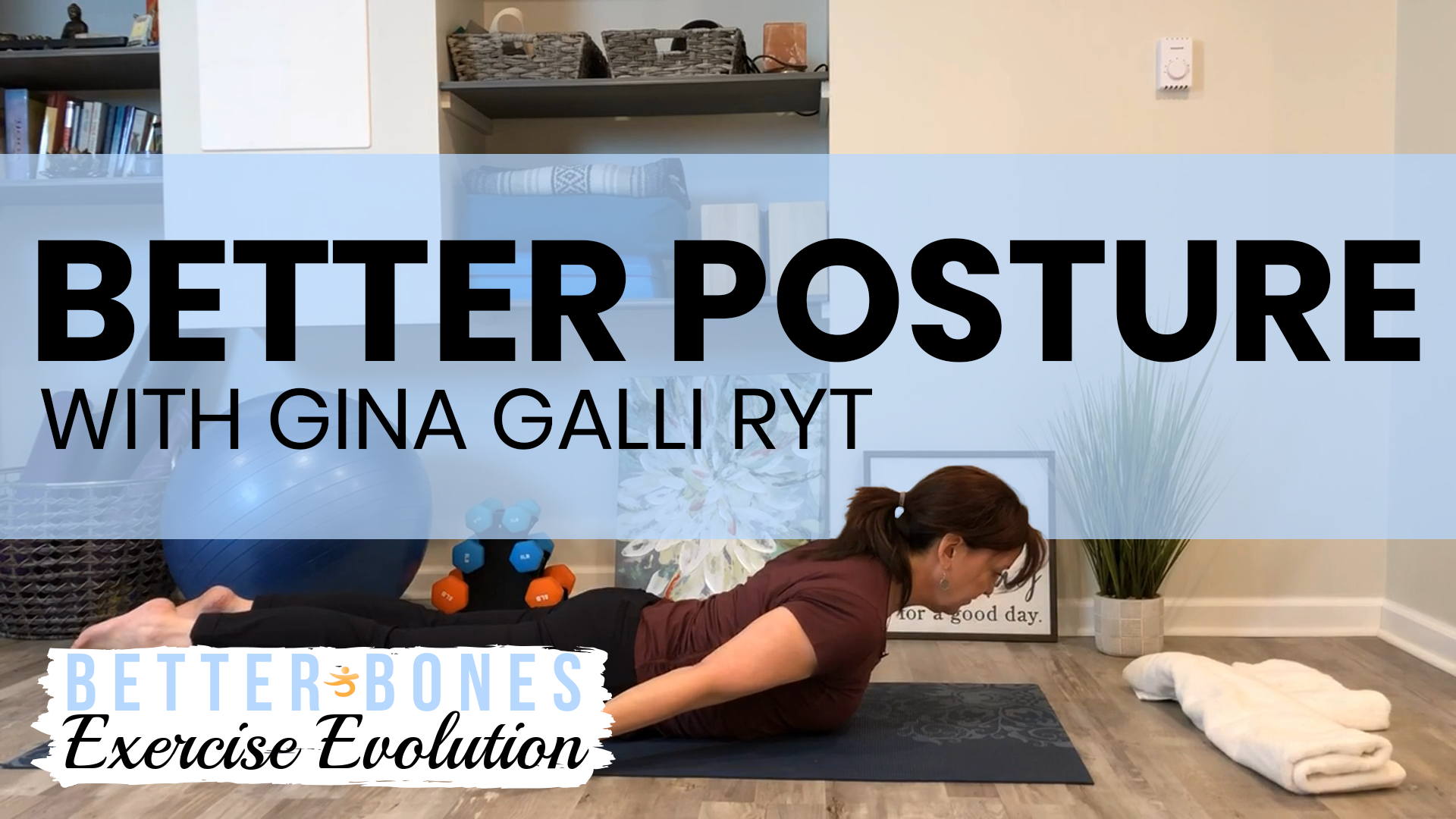 Series 1: Exercise Evolution Download Bundle