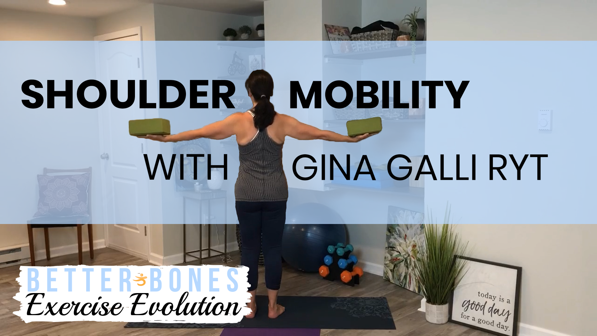 Series 1: Exercise Evolution Download Bundle